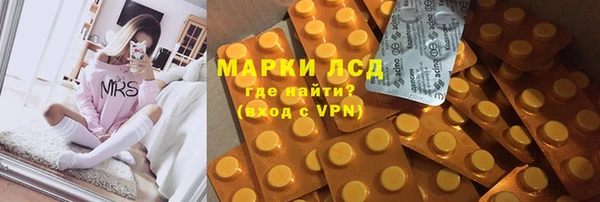 индика Бугульма
