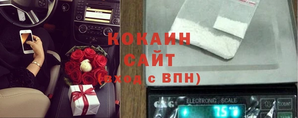 индика Бугульма