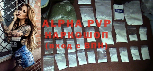 индика Бугульма