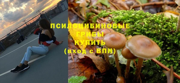 стаф Бронницы