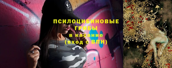 СК Бородино