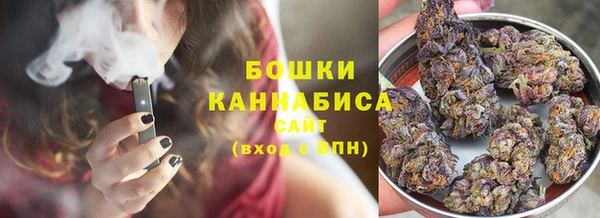 СК Бородино