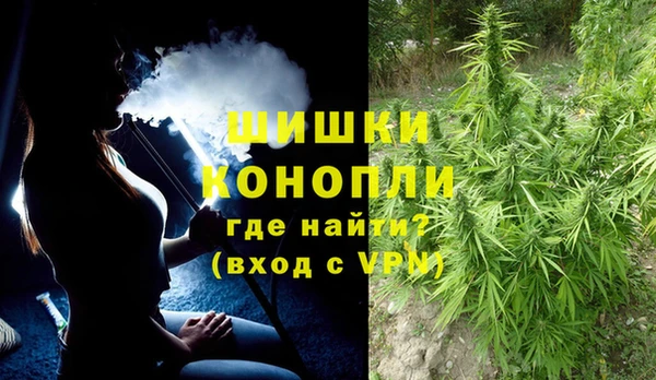 индика Бугульма