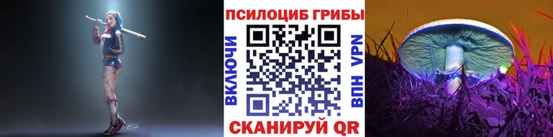 Галлюциногенные грибы Magic Shrooms  Вичуга 